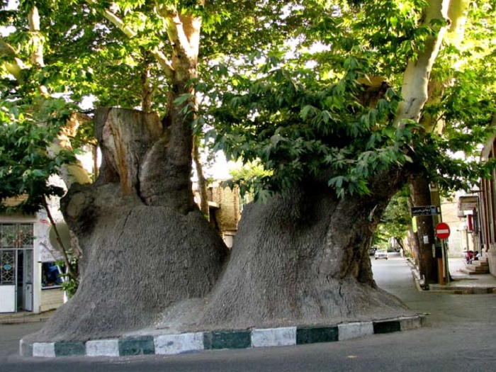 جلسه کارگروه رشد و توسعه شهرستان محلات به روایت تصویر (۱)